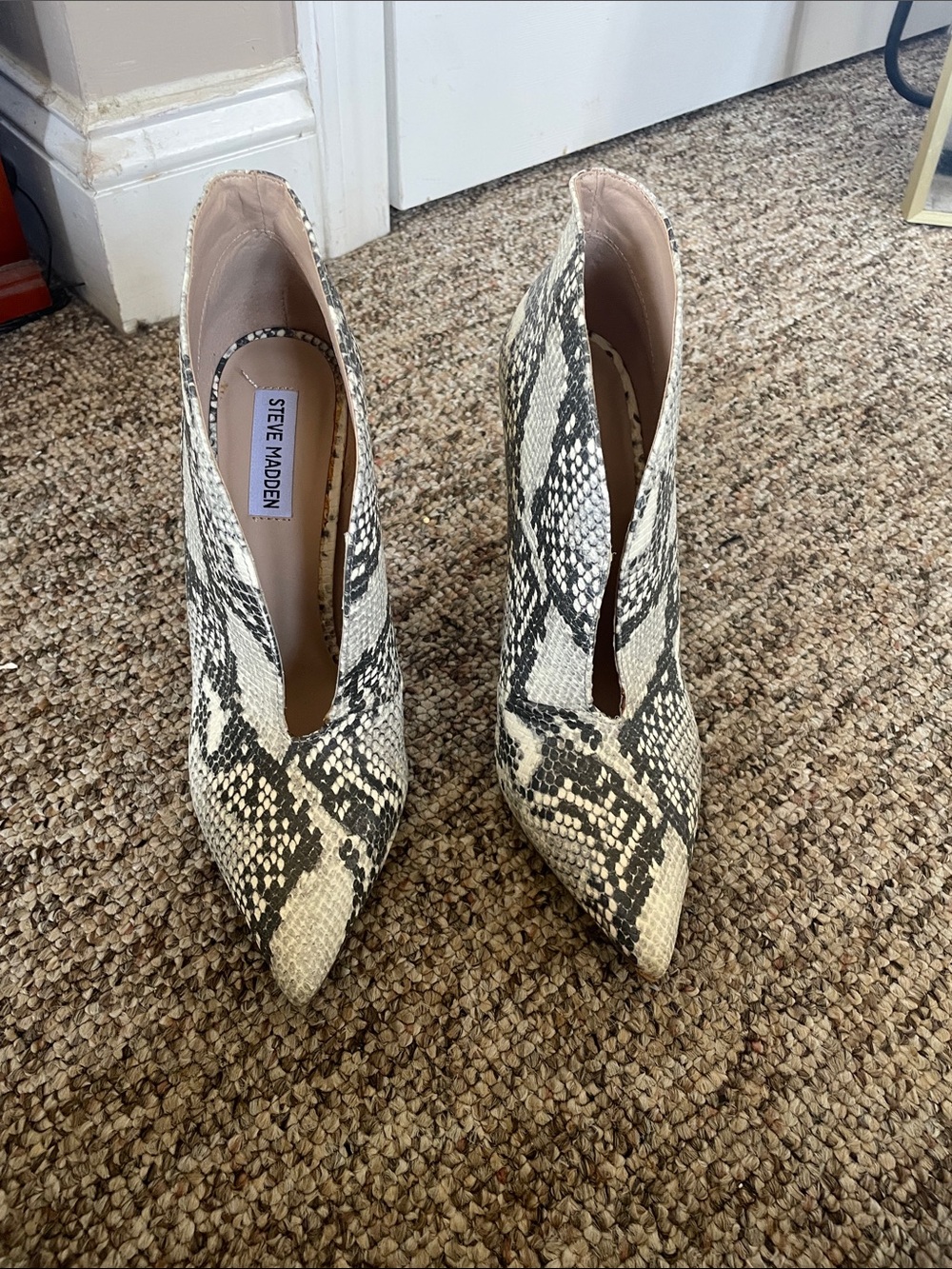 Steve Madden Snake-Print Pointed Toe Booties - Black & White